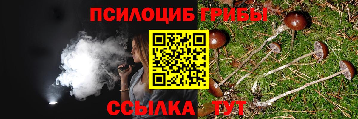 Белгород  Галлюциногенные грибы мухоморы  Вход с VPN 